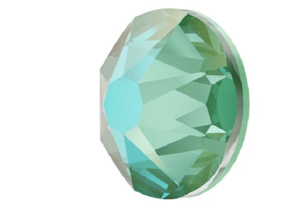 画像2: ◆特注◆2058/2088 クリスタルシルキーセージディライト (2)