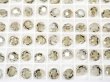 画像1: ◆廃盤◆5000 ブラックダイヤモンドゴールデンシャドー (1)