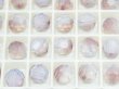 画像1: ◆廃盤◆5000 ホワイトオパールアンティークピンク (1)