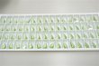 画像1: ◆シート◆8762 MM25,0X14,0 ライトペリドット●64粒● (1)